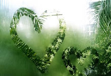 中甲冲超组积分榜竞争有多激烈?谁能最终拿到中超入场券?